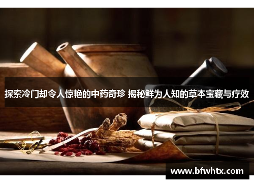 探索冷门却令人惊艳的中药奇珍 揭秘鲜为人知的草本宝藏与疗效