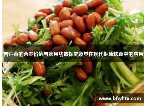 苦苣菜的营养价值与药用功效探究及其在现代健康饮食中的应用