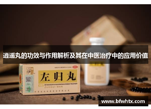 逍遥丸的功效与作用解析及其在中医治疗中的应用价值
